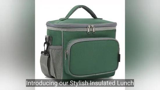 Stylish Insulated Lunch Cooler Bag for Adults and Women 