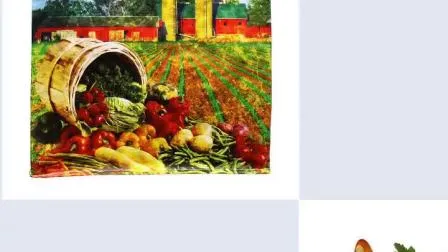 Manufacturer Reusable Tote Polypropylene Shopping Laminated Eco Friendly China PP Woven Bag 