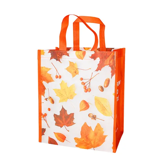 OEM/ODM Gift Packaging Tote Reusable Shopping Promotion RPET Nonwoven Bag 