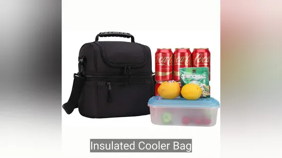 OEM Picnic Reusable Leakproof Insulated Food Drinks Beer Lunch Tote Cooler Bag 